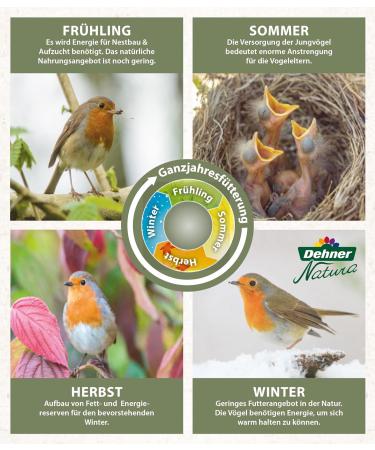 Buy Dehner Natura Wild Bird Feed - Nutritious Fat & Soft Food for Garden Birds - 5 kg Pack with Oats Wheat Flakes Peanuts & Raisins - International Shipping Available - Buy Online on GoSupps.com