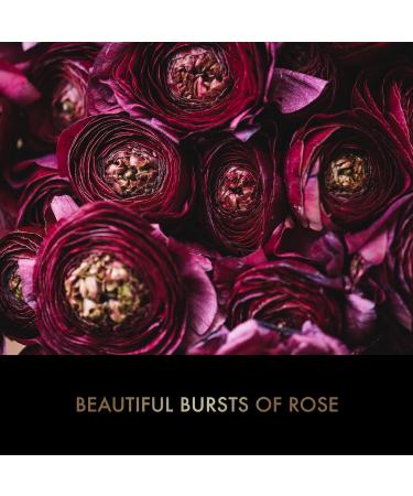 Boudoire Rose Luxury Bathing Treat Gift Set - Vegan Friendly Keepsake Box by Baylis & Harding - Buy Online on GoSupps.com