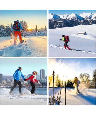 ALPIDEX Snowshoes for Men & Women - Lightweight Aluminum Frame Ratchet Binding Carrying Bag Size 36 to 135 kg - Black/Red - Buy Online on GoSupps.com