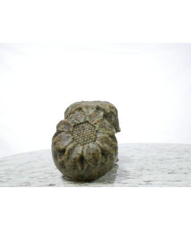 Natural Organic Soap -Vanilla Latte Exfoliating Body Bar