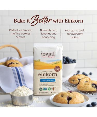 Jovial Einkorn Baking Flour | 100% Organic Einkorn All Purpose Flour | High Protein | Non-GMO | USDA Certified Organic | Delicious Taste | Product of Italy | 32 oz (2 Pack) - Buy Online on GoSupps.com