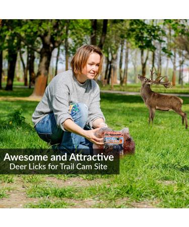 Himalayan Nature Deer Attractant Salt Mineral Rock - 100% Natural Licking Rock - Buy Online on GoSupps.com