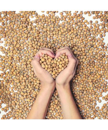 Buy 1 kg Loose Cherry Kernels - Premium Quality for Cooking & Baking | International Shipping Available - Buy Online on GoSupps.com