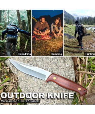 Coosnug D2 Sharp Survival Knife with Leather Bag - Ergonomic Rosewood Handle for Outdoor Camping - Buy Online on GoSupps.com