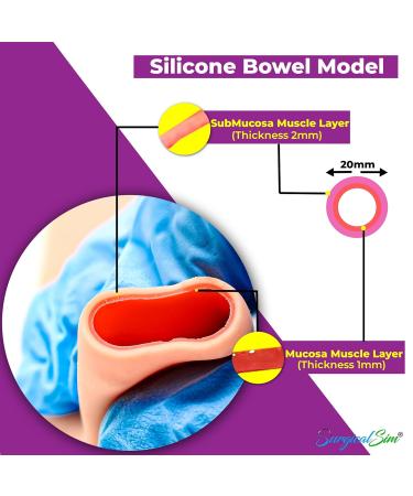 SurgicalSim Bowel Anastomosis Suture Practice Kit - End-to-Side Techniques for Students | Includes 0.8 Diameter Models & Tool Kit - Buy Online on GoSupps.com