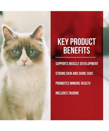 Fussie Cat Market Fresh Grain-Free Chicken & Turkey Dry Cat Food - 4lb Pack - Buy Online on GoSupps.com