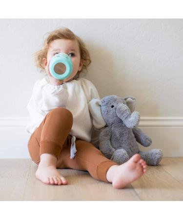 Lifefactory Wide Neck Soft Sippy Spout (9+ Months) 1-Pack Clear | LG8556 - Buy Online on GoSupps.com
