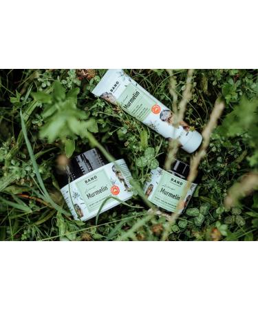 Arlberger Murmelin Sport & Joint Ointment - Original Austrian Marmot Ointment with Arnica Latscent Oil & Menthol - 200 ml | International Shipping Available - Buy Online on GoSupps.com