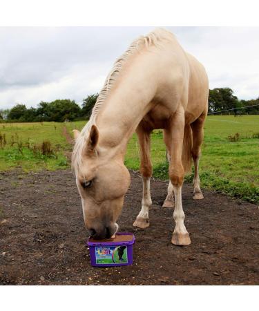 Likit Paddock 8kg | Horse Lick with Essential Vitamins & Minerals | Added Benefit of Garlic Yeast & Oils | 8kg - Buy Online on GoSupps.com