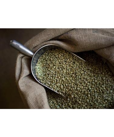 Moreish Swiss Water Decaf Coffee Bags - 50 Pack - Buy Online on GoSupps.com