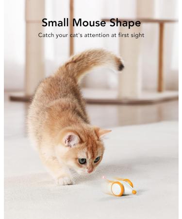 Petlibro Interactive Cat Toys - LED Lights, Electric Mice, USB Rechargeable - Buy Online on GoSupps.com