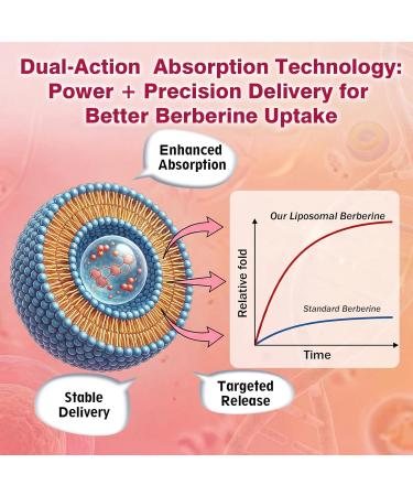 Liposomal Berberine Supplement 1500mg, High Potency Berberine Gummies w. Ceylon Cinnamon, ACV & Turmeric for Digestive, Metabolic & Immune Support, Sugar Free, Vegan, 60 Count - Buy Online on GoSupps.com