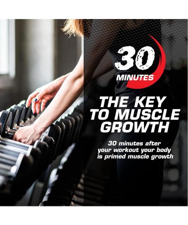 Myogenix Myovite Multivitamin & Myolean Vanilla Whey Protein Bundle Complete Daily Nutrition with 40g High-Protein Whey Support Energy Muscle Growth & Recovery - Buy Online on GoSupps.com