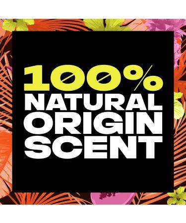 AXE Hawaiian Vibe Body Wash for Men | 100% Natural Scent, Plant Based | 18 oz, 4 Pack - Buy Online on GoSupps.com