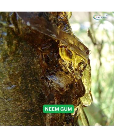 Neotea Natural Neem Gum 200GM (7.05 OZ) | Edible Herbal Resin | Raw & Natural | Cooling Summer Ingredient for Drinks & Wellness - Buy Online on GoSupps.com