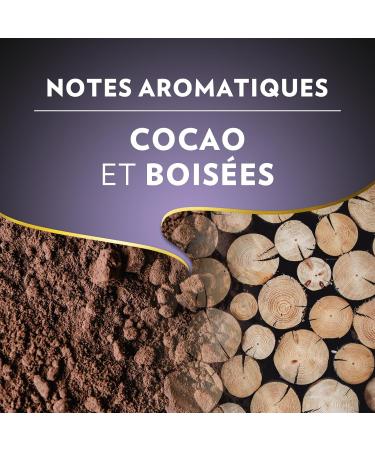 Lavazza Espresso Barista Intenso Ground Coffee 2x250g Ideal for Filter or Manual Machine with Aromatic Notes of Dried Fruit for Espresso with an Intense and Velvety Taste Robusta Intensity 9/10 500 g - Buy Online on GoSupps.com