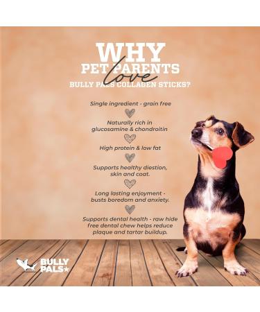 BULLY PALS - 12 inch Beef Collagen Sticks - 8 Pack - Odour Free Rawhide Free Long Lasting Alternative to Bully Sticks All Natural Protein Rich Dehydrated Dog Treats and Dental Chews 1 count (Pack of 8) - Buy Online on GoSupps.com