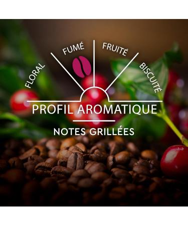 CARTE NOIRE - Intense Espresso Coffee Capsules No. 9 Compatible with Nespresso - Arabica Coffee - Pack of 4 x 60 Aluminum Capsules - Buy Online on GoSupps.com