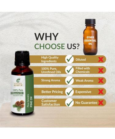 Pine Oil -(Pinus Sylvestris)- Essential Oil 100% Pure Natural Undiluted Uncut Therapeutic Grade Oil 3.38 FL.OZ - Buy Online on GoSupps.com