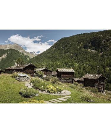 Buy Sugar Free Cough Drops with Green Tea & Echinacea - 19 Drops per Pack (5 Packs) | International Shipping Available - Buy Online on GoSupps.com