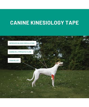 VetkinTape Canine & Equine Kinesiology Tape | Veterinary Medical Tape for Joint Support | Self-Adhesive Vet Wrap | Black 2.4in | Pack of 1 - Ultimate Pet Care Solution - Buy Online on GoSupps.com