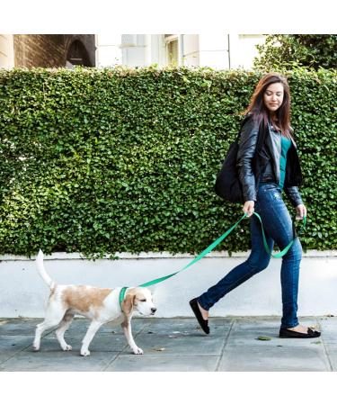 Tagme Personalized Reflective Dog Collar & Leash Set - 1.5m Double-Sided for Small Dogs Turquoise XS - International Shipping Available - Buy Online on GoSupps.com