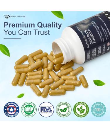 Rebuild Your Vision Ocu-Plus Formula Eye Health Supplement with Lutein & Zeaxanthin Supports Visual Clarity Night Vision & Macular Health with Bilberry Ginkgo Biloba & NAC 60 Capsules - Buy Online on GoSupps.com