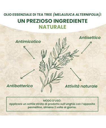 Tea tree nail solution from the Australian company 10 ml - Buy Online on GoSupps.com