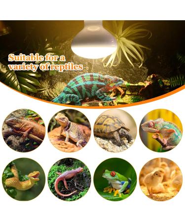 MIXJOY 2 Pack Reptile Heat Lamp 100W UVA Daylight Basking Spot Light Amphibians Basking Bulbs Heat Lamps Heat Lamp Bulbs for Reptiles Lizard Tortoise Bearded Dragon - Buy Online on GoSupps.com