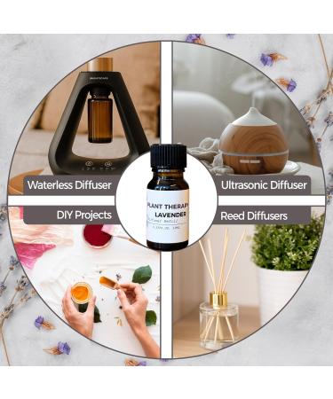 Brightscape Lavender Fragrance Oil for Waterless Diffusers - 0.33 fl oz - Long Lasting Luxurious Lavender Essential Oil Blend - Buy Online on GoSupps.com