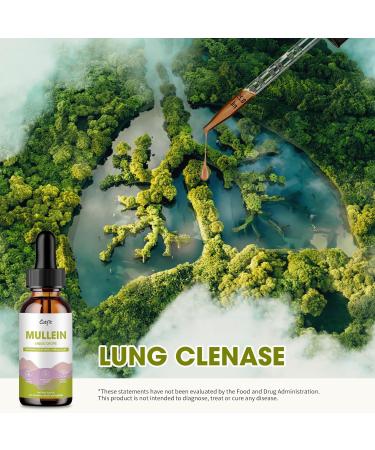 Mullein Drops for Lungs Mullein Leaf Extract with Marshmallow Root Perilla & Astragalus for Respiratory Support Immune Boost & Lung Detox Natural Herbal Formula Vegan 2 fl oz 2 Fl Oz (Pack of 1) - Buy Online on GoSupps.com