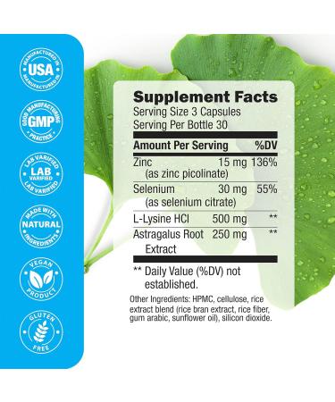 Buy ELEAN Immuno PWR - Zinc Selenium Amino Acid Lysine & Astragalus Root for Immune Health & Energy | 90 Veg Capsules - International Shipping Available - Buy Online on GoSupps.com