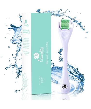 Derma Roller 0.25mm for Face Body Beard Hair Growth - 540 Titanium Needles for Home Use - Buy Online on GoSupps.com