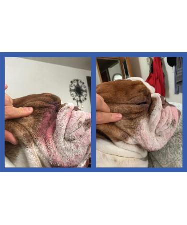 Squishface Wrinkle Paste 2 Oz - Cleans & Protects Dog Wrinkles - Buy Online on GoSupps.com