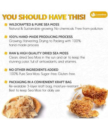 Lavendium Premium 300g (10.5oz) Raw Sea Moss Dried Sea Moss 100% Natural & Pure Wildcrafted Sundried Sugar Free Gluten Free Vegan Mineral Rich. CA - Buy Online on GoSupps.com