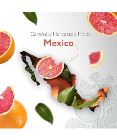 HBNO Organic Grapefruit Essential Oil - USDA Certified 1 oz (30ml) for Aromatherapy DIY & Fragrances - Cold Pressed Quality - Buy Online on GoSupps.com