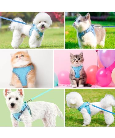 GOTRUST Cat Harness and Lead Set Breathable Mesh Kitten Harness Adjustable Escape-Proof Cat Vest with Leash Reflective Pet Harness for Small Animals Rabbit Cats Puppy - Blue - Buy Online on GoSupps.com