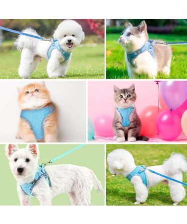 Adjustable Cat Dishes with Leash | Outbreak-Proof & Reflective Cat Supplies for Small Dogs - Buy Online on GoSupps.com