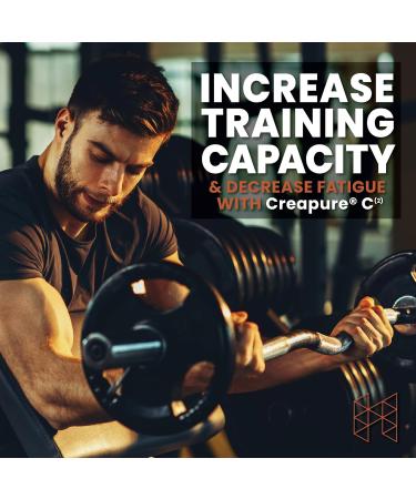 HPN C(2) Ultrapure Premium Creapure - 100 Servings | Enhance Performance & Recovery - Buy Internationally - Buy Online on GoSupps.com