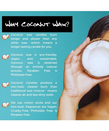 Buy Wild Mint + Eucalyptus Candle | 9oz Aromatherapy Stress Relief | Vegan Non-Toxic Coconut Wax | Bluebyrd Soap Co - Buy Online on GoSupps.com