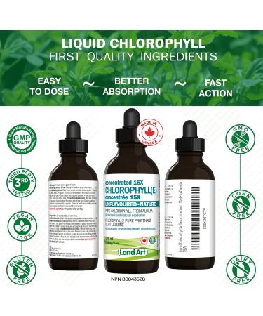 Liquid Chlorophyll Drops Unflavoured 15X Concentrated 100ml Cold Extracted from Non-GMO Alfalfa - Detox - Alkaline - Natural Body Deodorant Antioxidant - Made in Canada - Buy Online on GoSupps.com