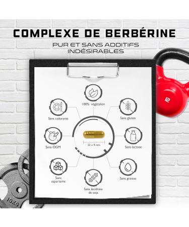 Berberine HCL Complex - Highly Dosed With 1120 mg Per Daily Serving - GDA Formula With 7 Active Ingredients - 120 Capsules - Vegan - Buy Online on GoSupps.com