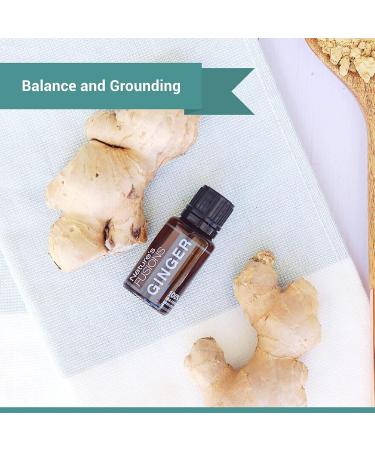 Nature's Fusions Ginger Root 100% Pure and Natural Essential Oils Undiluted Therapeutic Grade for Aromatherapy and Topical Use .5 Fl Oz (Pack of 1) (15 mL) - Buy Online on GoSupps.com