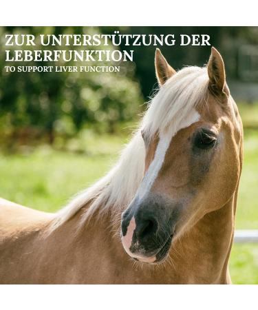 Stiefel Leberkr uter - 1kg - Buy Online on GoSupps.com