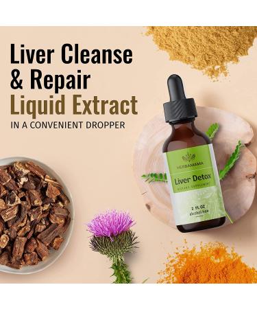 HERBAMAMA Liver Cleanse & Repair Liquid Drops - Herbal Supplement w/ Dandelion & Milk Thistle for Liver Detox - 2 fl. Oz Bottle - Buy Online on GoSupps.com