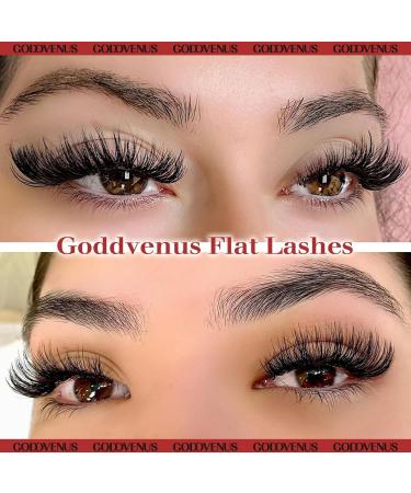 Goddvenus Wispy Cluster Lashes D Curl Individual Eyelashes Natural Paired Lash Clusters Fluffy Lashes Individual Cluster Individual Lashes DIY Lash Extensions for Beginners - Buy Online on GoSupps.com