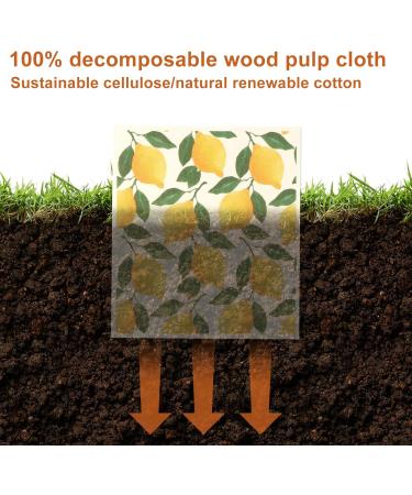 Abizarch 5Pcs Swedish Dishcloths for Kitchen Reusable Kitchen Dish Towels Absorbent Kitchen Dishcloths Washable Kitchen Dish Rags Soft Cellulose Sponge Cloths 7.7 x 6.7inch Kitchen Wash Rag for Washin - Buy Online on GoSupps.com