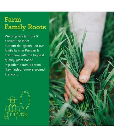 Buy Amazing Grass Green Superfood Multivitamin - Pineapple Lemongrass 7.4 oz | Nutrient-Rich Superfood Powder - Buy Online on GoSupps.com