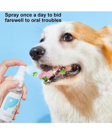 PUCHEN Teeth Cleaning Spray for Pet Pet Teeth Cleaning Spray 60ml - Cleaning Dog Teeth Spray Odors and Freshen Breath for Home Outdoor Travel Use - Buy Online on GoSupps.com
