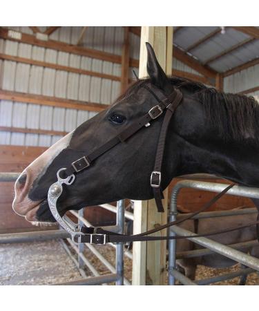 Majestic Ally Turquoise Nylon Padded Browband Headstall with Reins - Full Size - Buy Online on GoSupps.com